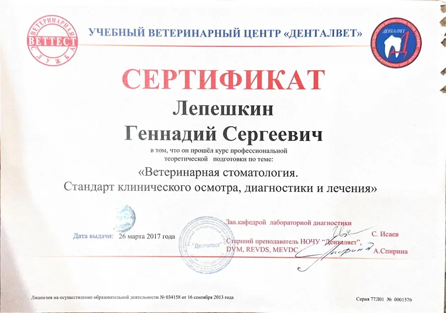 Сертификат
