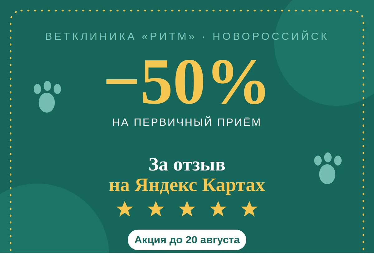 Скидка 50% на первичный приём за отзыв на Яндекс Картах — акция до 20 августа